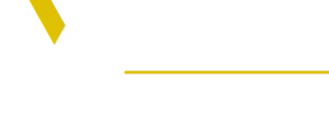 Vesta Software Group